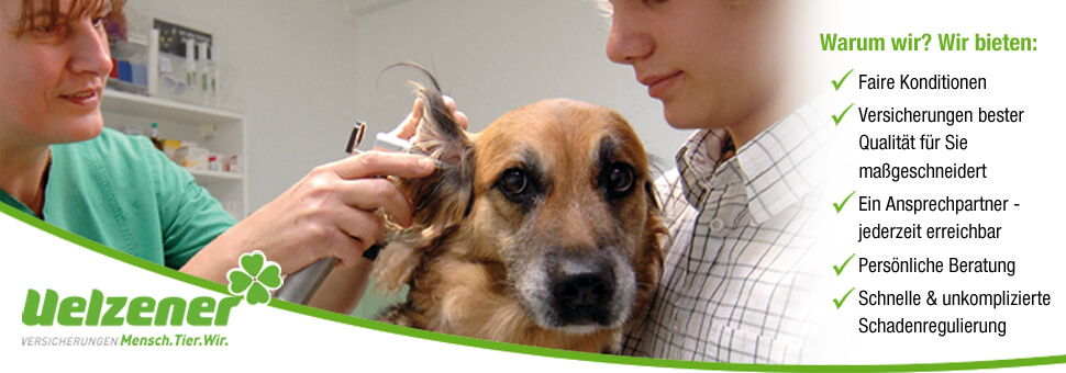 Uelzener Hunde Op Versicherung Erfahrungen Uelzener HundeOp